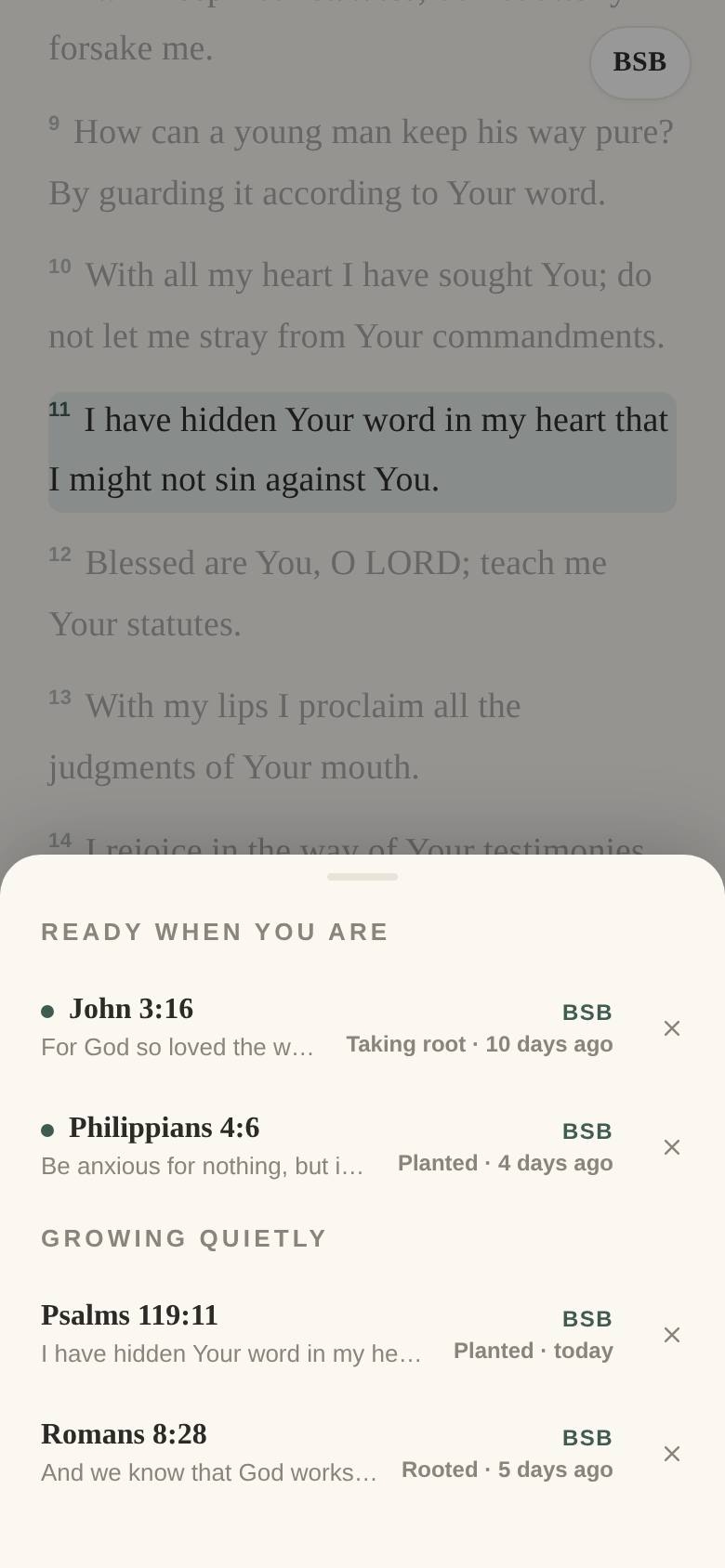 The practice list: Ready when you are, holding John 3:16 and Philippians 4:6, above Growing quietly, holding Psalms 119:11 and Romans 8:28 with their growth states.